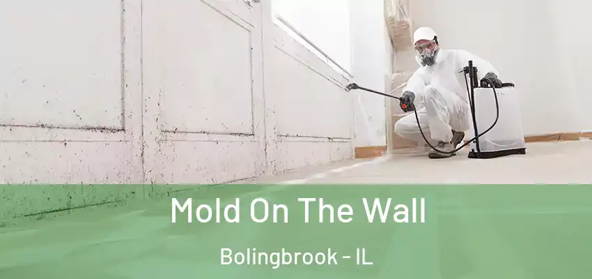 Mold On The Wall Bolingbrook - IL