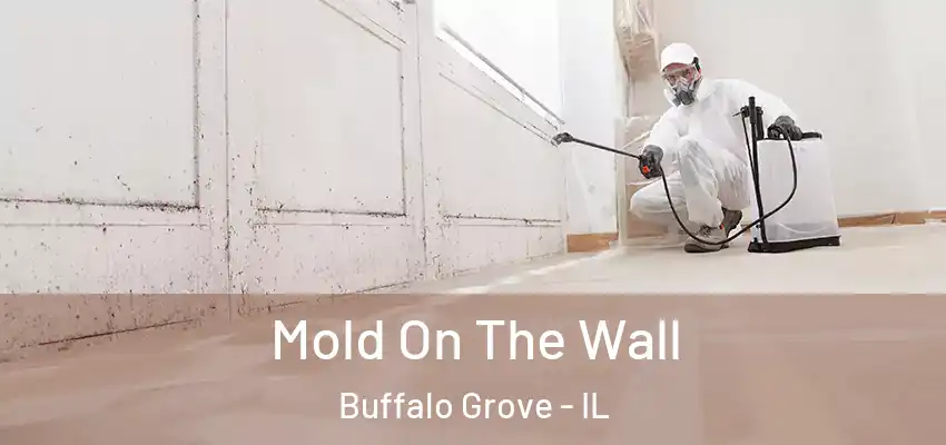 Mold On The Wall Buffalo Grove - IL