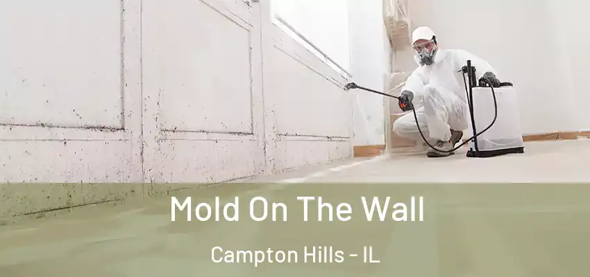 Mold On The Wall Campton Hills - IL