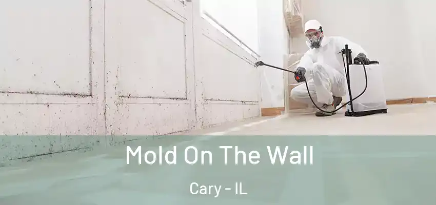  Mold On The Wall Cary - IL