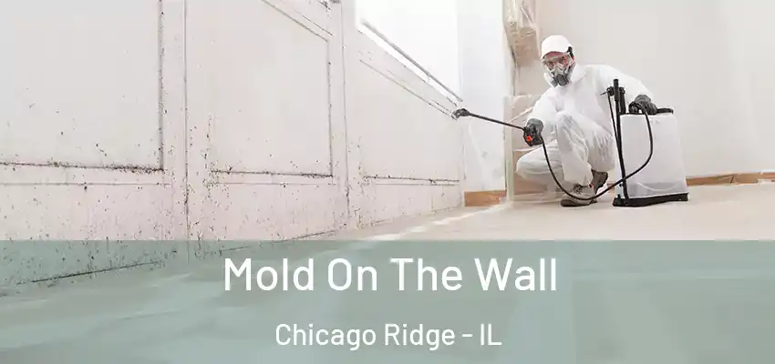  Mold On The Wall Chicago Ridge - IL