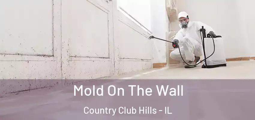  Mold On The Wall Country Club Hills - IL