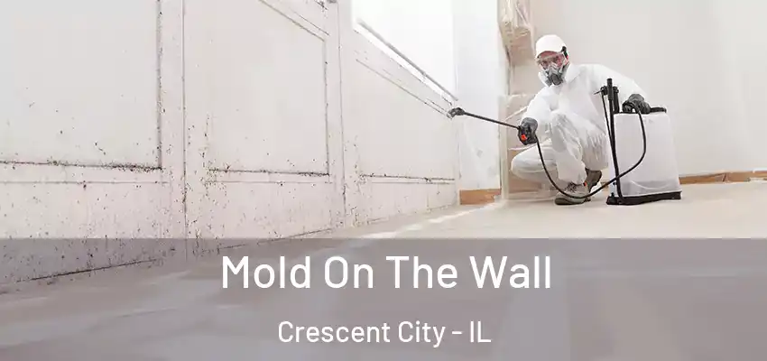  Mold On The Wall Crescent City - IL