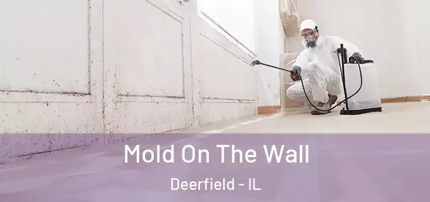 Mold On The Wall Deerfield - IL