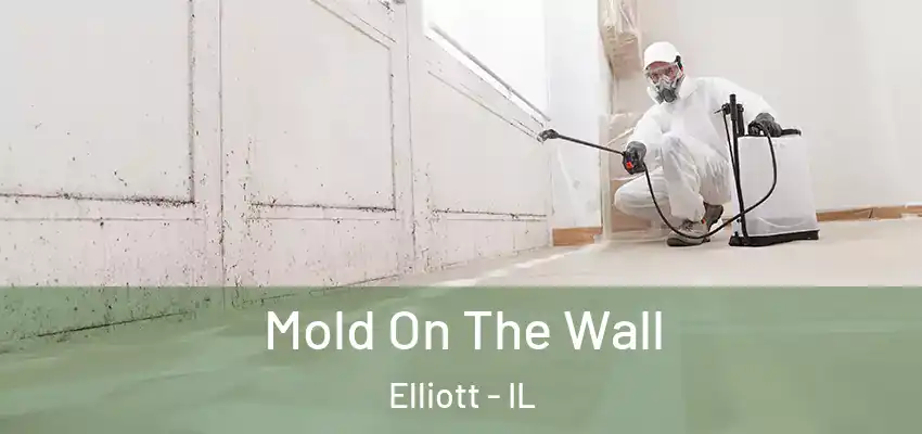  Mold On The Wall Elliott - IL