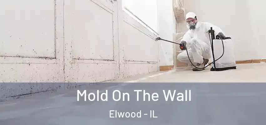 Mold On The Wall Elwood - IL