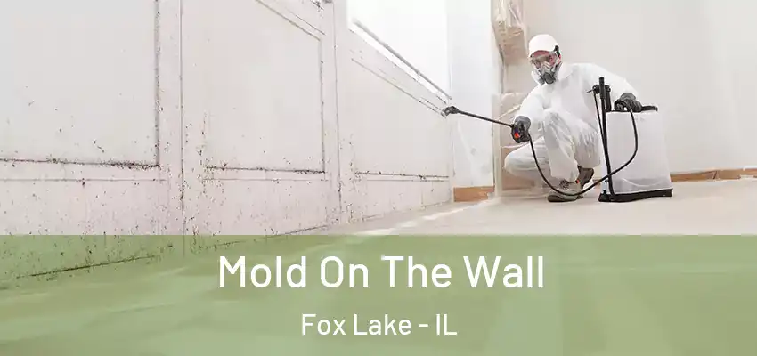 Mold On The Wall Fox Lake - IL