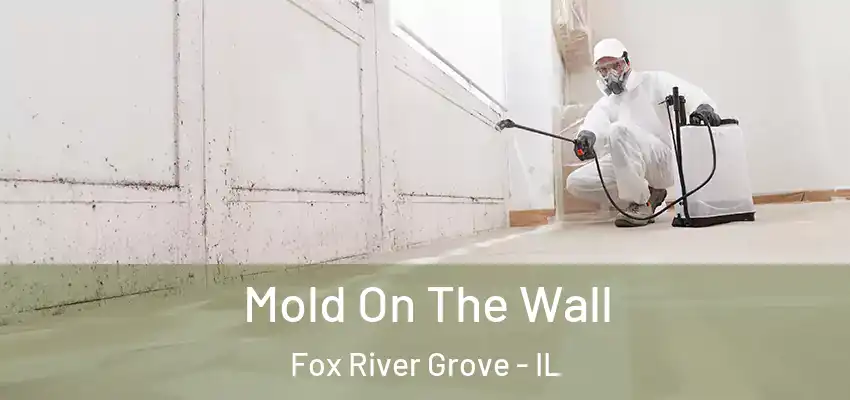  Mold On The Wall Fox River Grove - IL