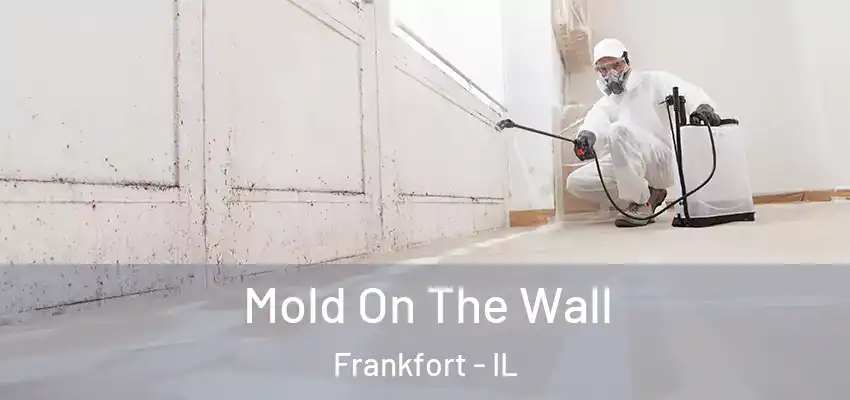  Mold On The Wall Frankfort - IL