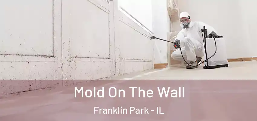  Mold On The Wall Franklin Park - IL