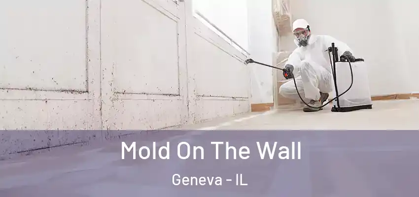  Mold On The Wall Geneva - IL