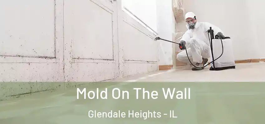 Mold On The Wall Glendale Heights - IL