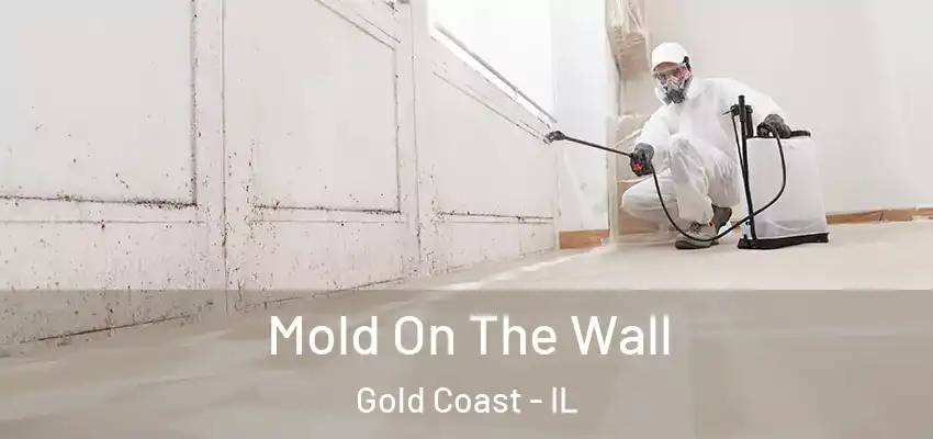 Mold On The Wall Gold Coast - IL