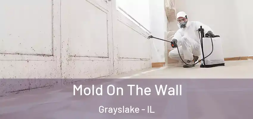  Mold On The Wall Grayslake - IL