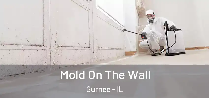  Mold On The Wall Gurnee - IL