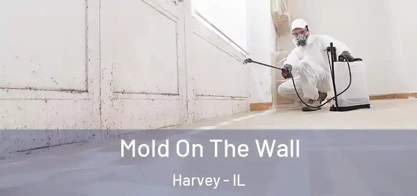Mold On The Wall Harvey - IL