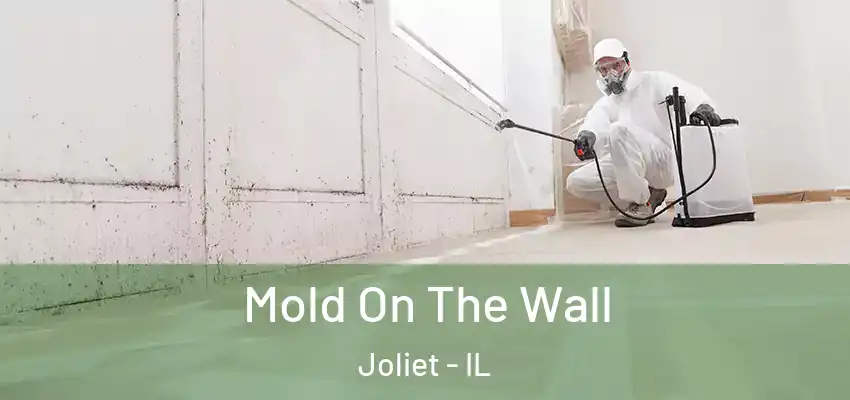 Mold On The Wall Joliet - IL