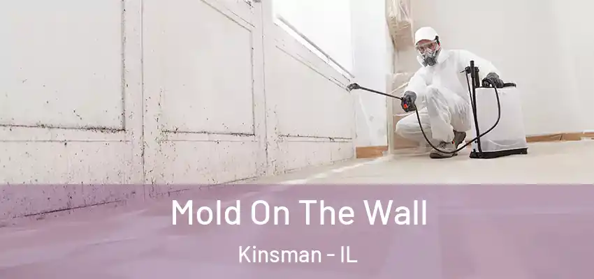 Mold On The Wall Kinsman - IL