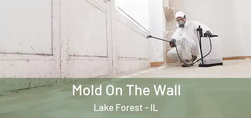 Mold On The Wall Lake Forest - IL