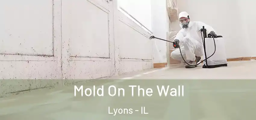  Mold On The Wall Lyons - IL