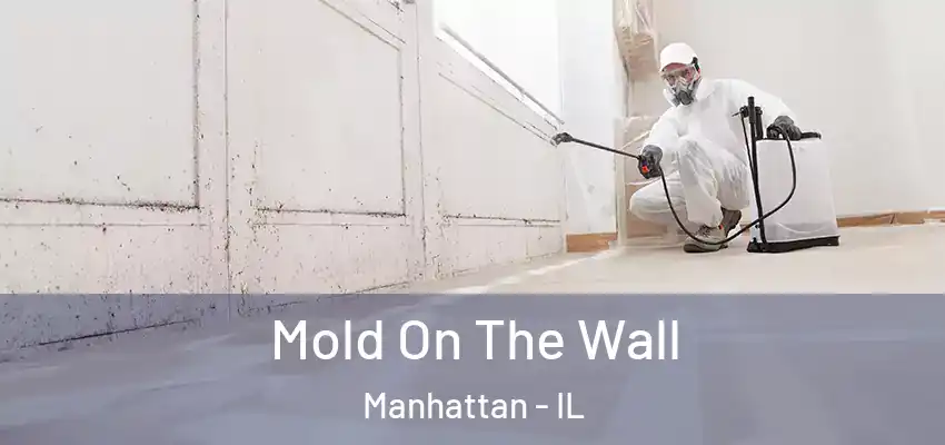 Mold On The Wall Manhattan - IL