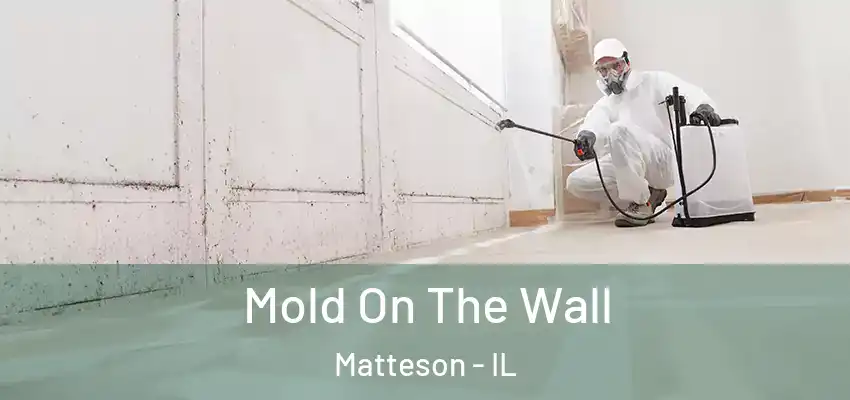 Mold On The Wall Matteson - IL