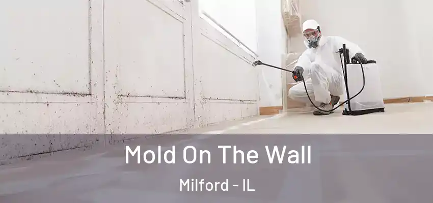  Mold On The Wall Milford - IL