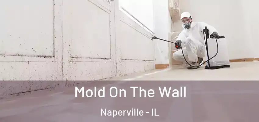 Mold On The Wall Naperville - IL