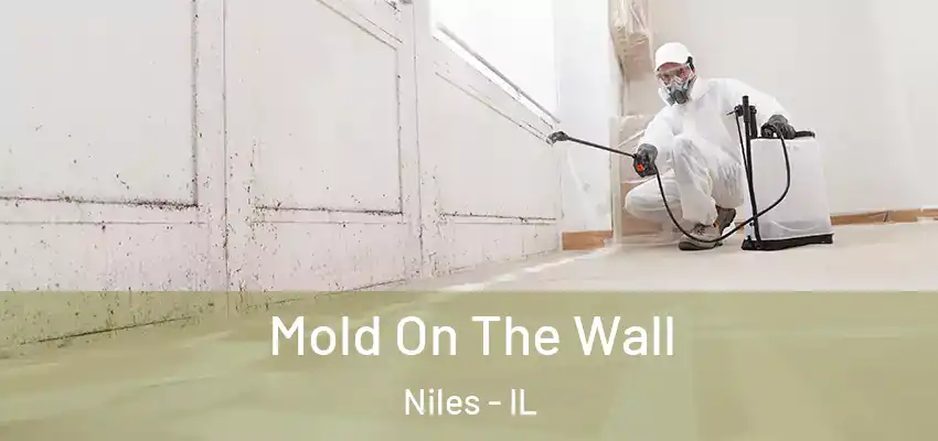 Mold On The Wall Niles - IL