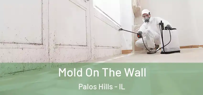 Mold On The Wall Palos Hills - IL
