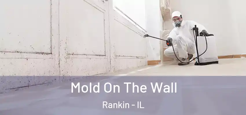 Mold On The Wall Rankin - IL