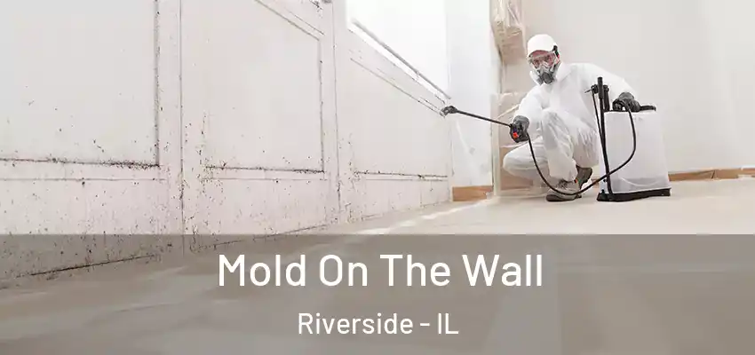 Mold On The Wall Riverside - IL