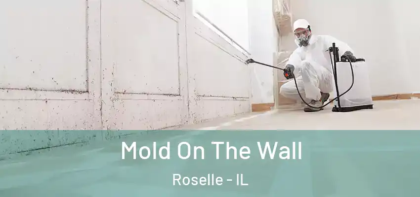 Mold On The Wall Roselle - IL