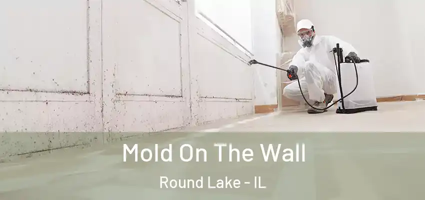 Mold On The Wall Round Lake - IL