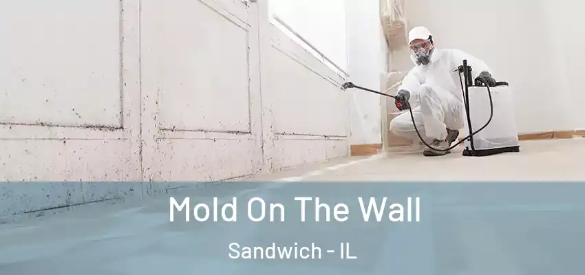  Mold On The Wall Sandwich - IL
