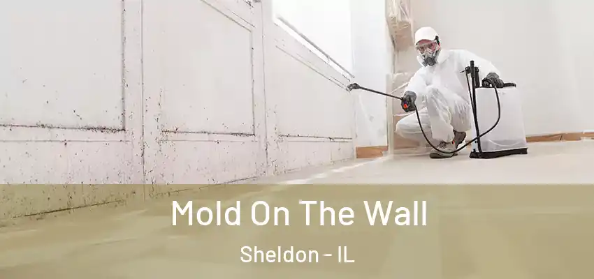 Mold On The Wall Sheldon - IL