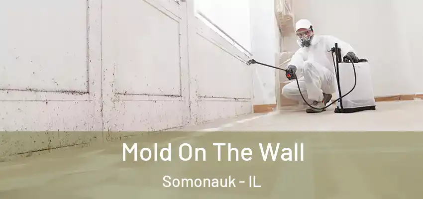 Mold On The Wall Somonauk - IL