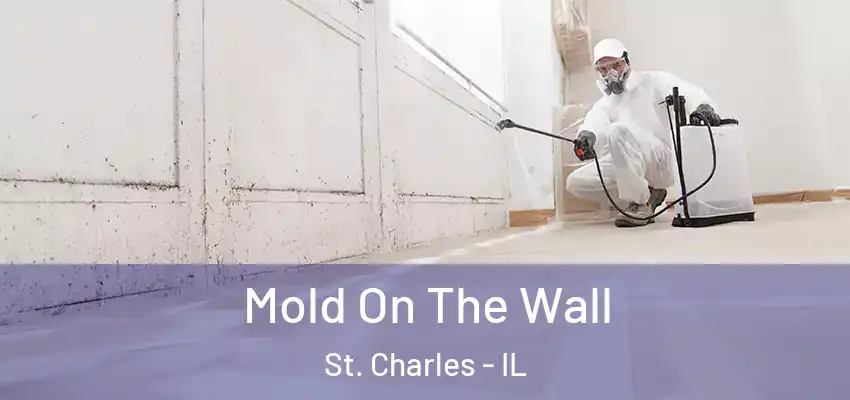 Mold On The Wall St. Charles - IL