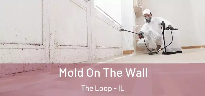  Mold On The Wall The Loop - IL