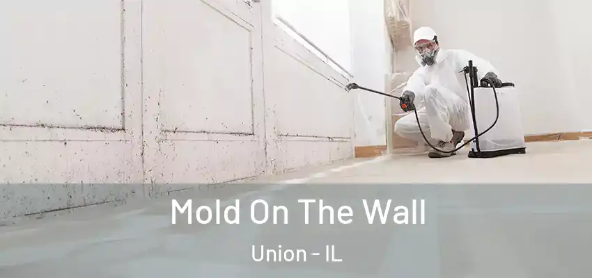 Mold On The Wall Union - IL