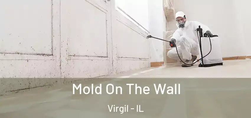 Mold On The Wall Virgil - IL