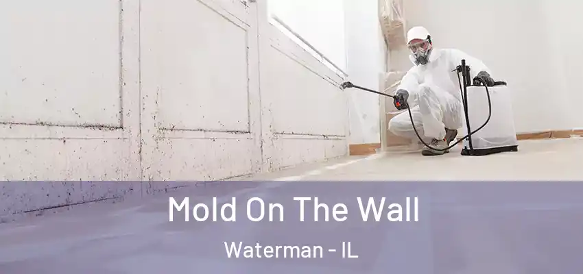 Mold On The Wall Waterman - IL