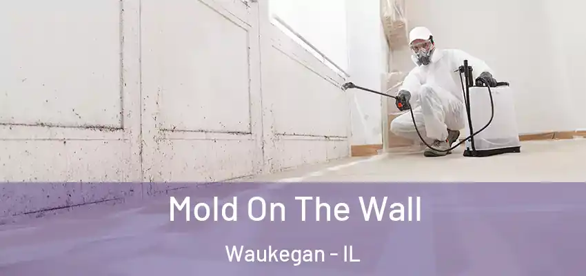 Mold On The Wall Waukegan - IL