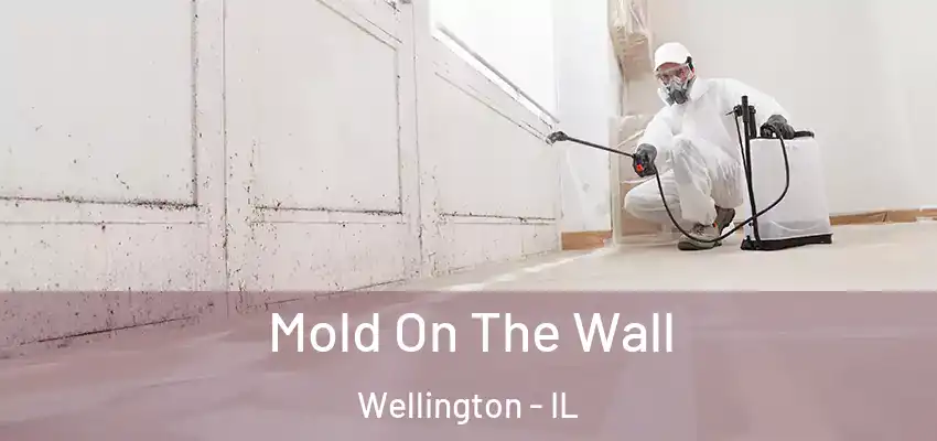Mold On The Wall Wellington - IL