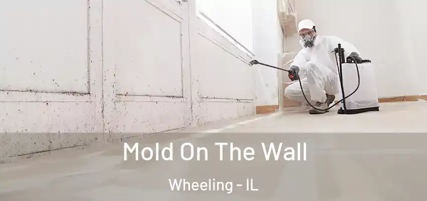 Mold On The Wall Wheeling - IL