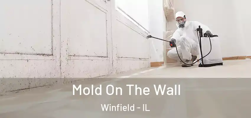 Mold On The Wall Winfield - IL
