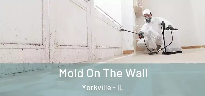 Mold On The Wall Yorkville - IL