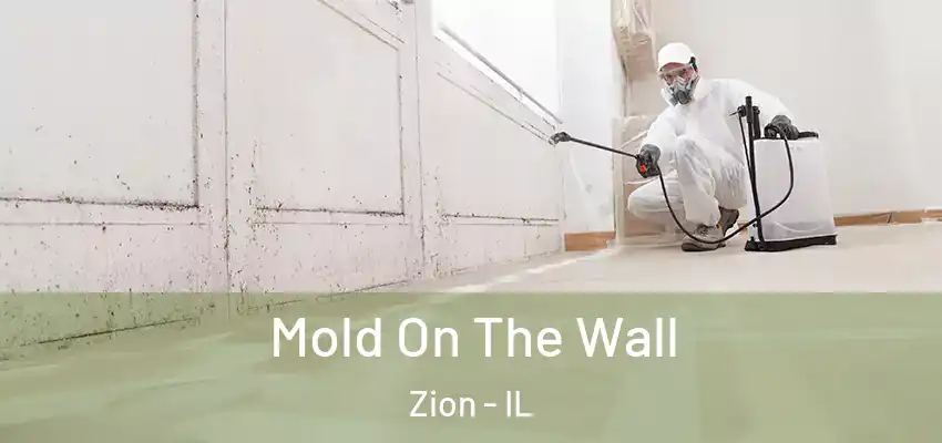  Mold On The Wall Zion - IL