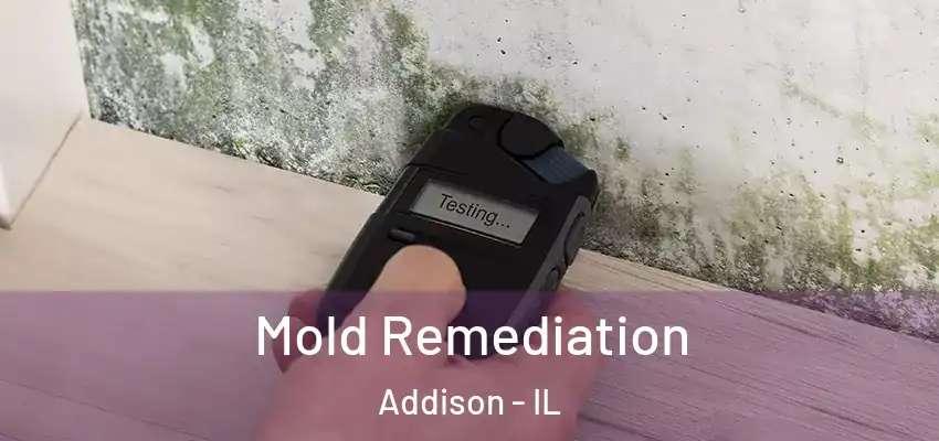 Mold Remediation Addison - IL