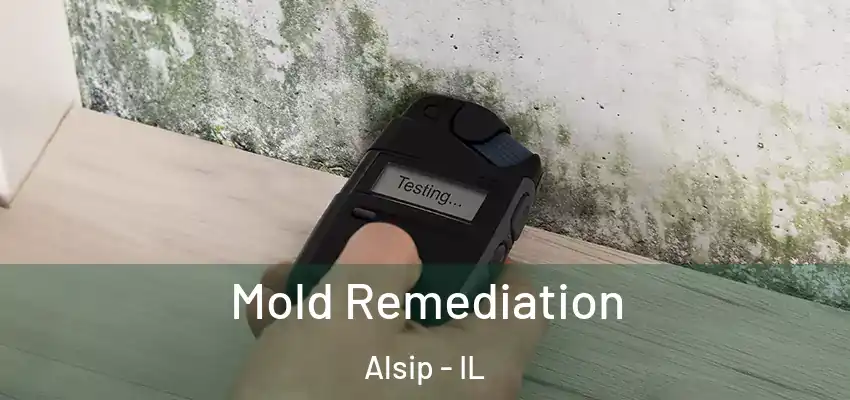  Mold Remediation Alsip - IL